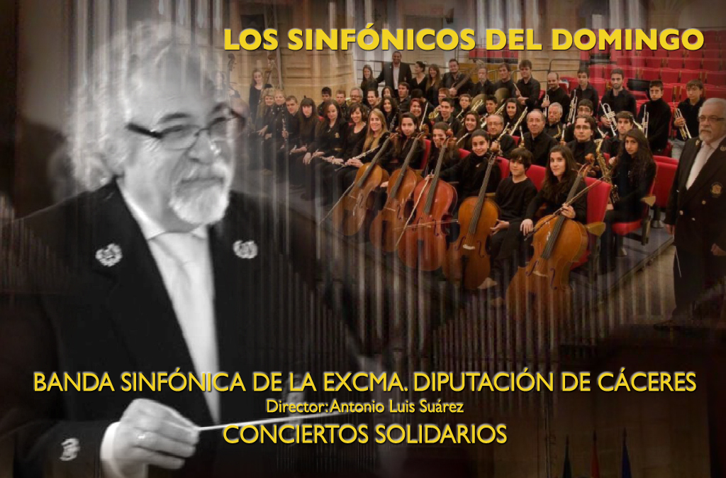 El concierto, que forma parte