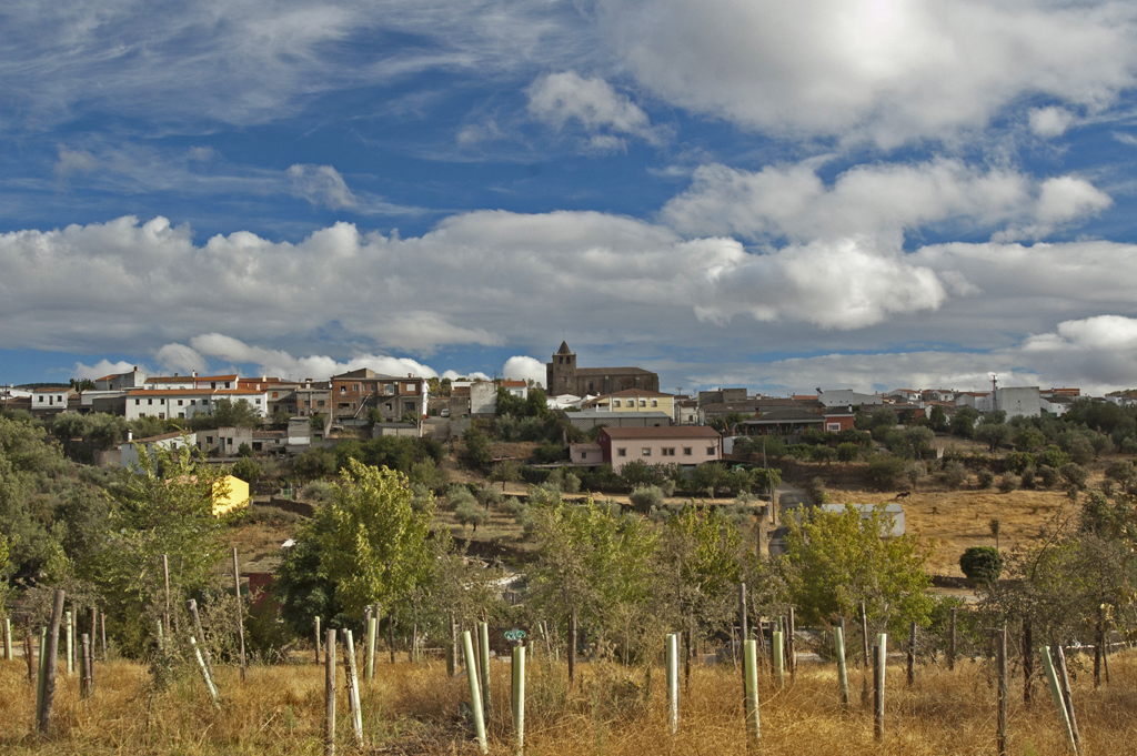 El portavoz de la Diputación