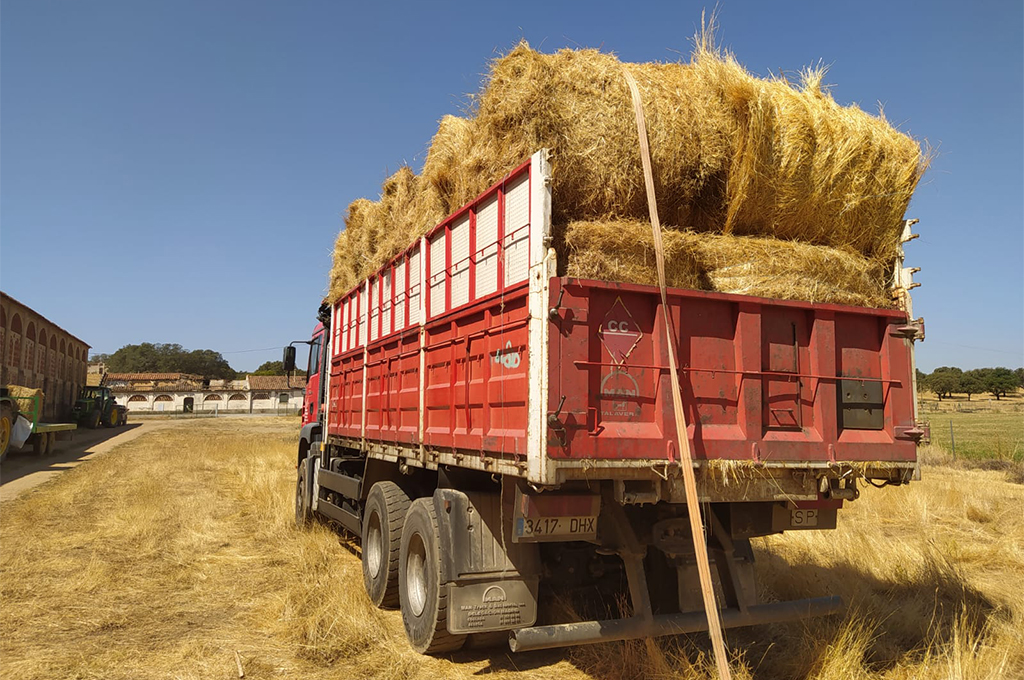 El Servicio de Agricultura y