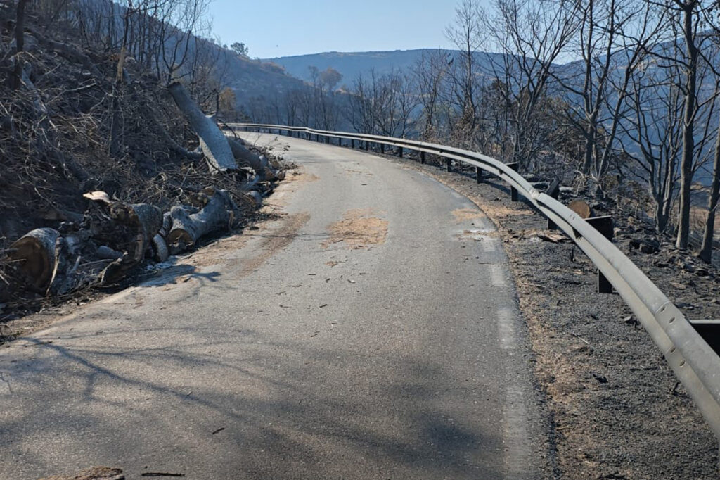 A través del Área de