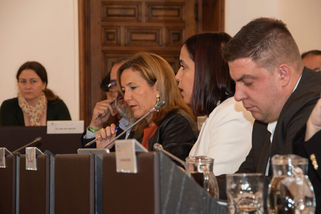 La diputada de Medio Ambiente, Transición Ecológica, agricultura y Ganadería, Angélica García Gómez, en su intervención durante el Pleno de Diputación