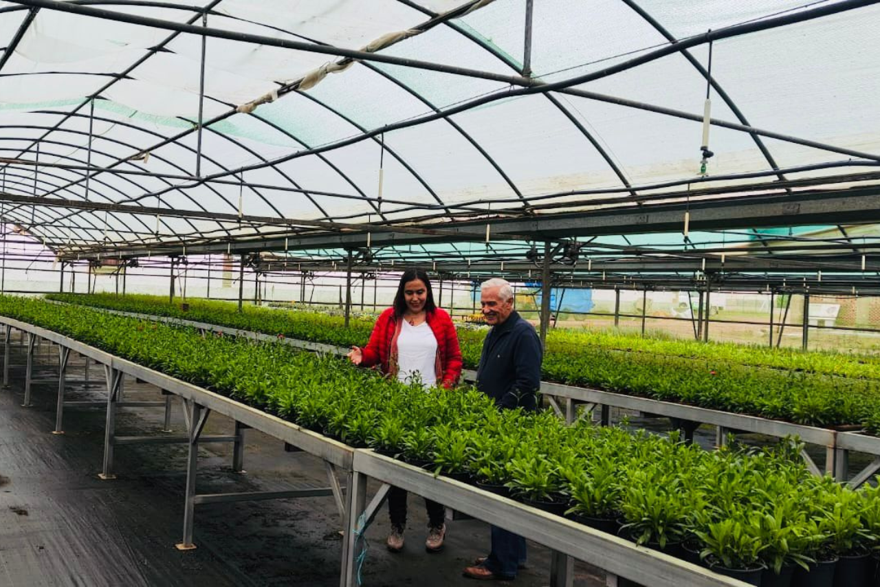 El Servicio de Agricultura y