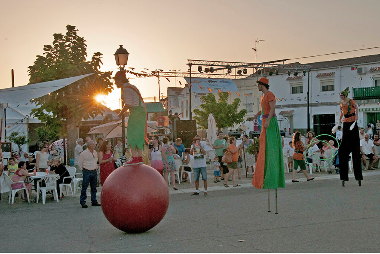 La Diputación de Cáceres publica