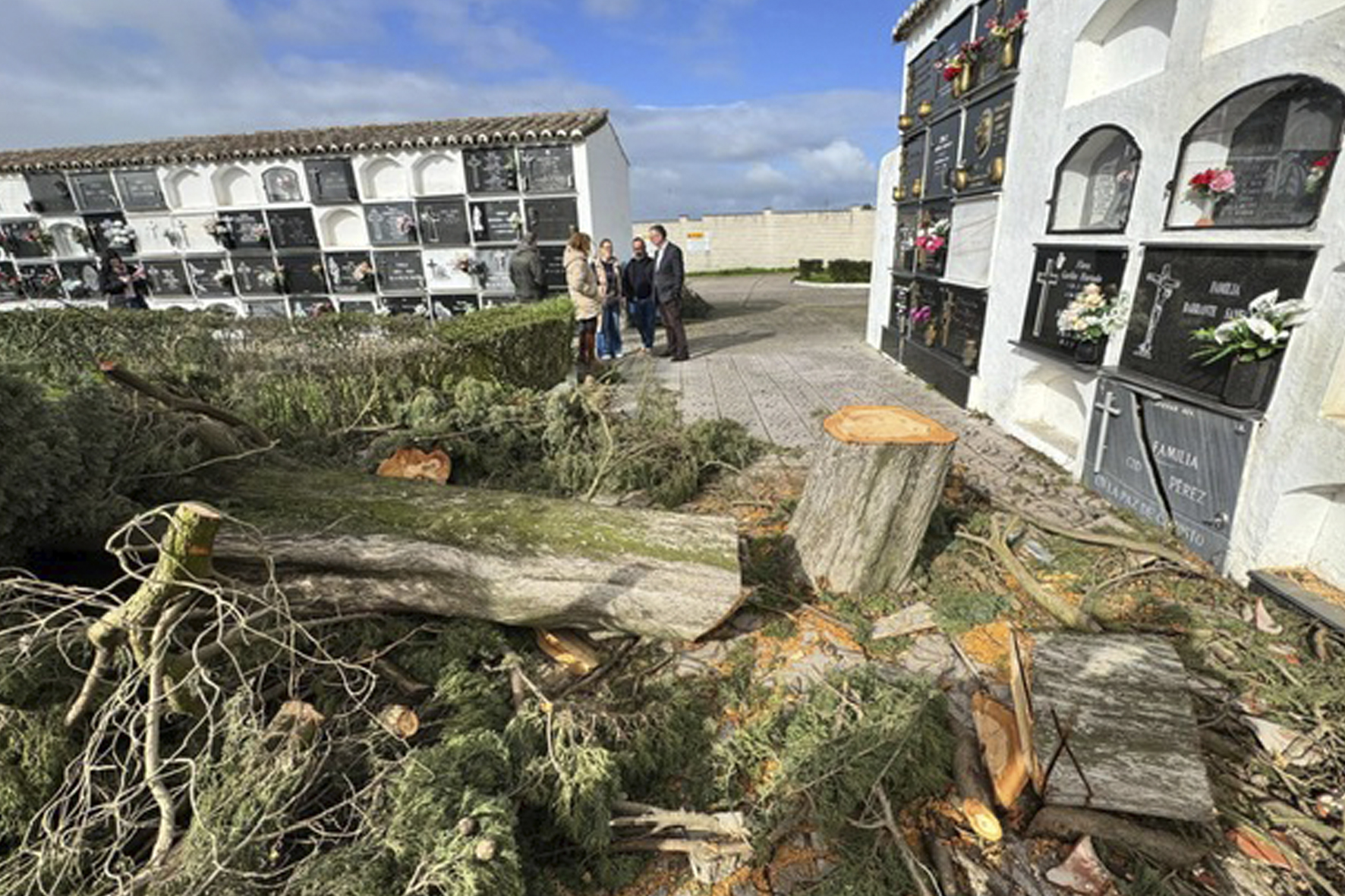 El presidente de la Diputación