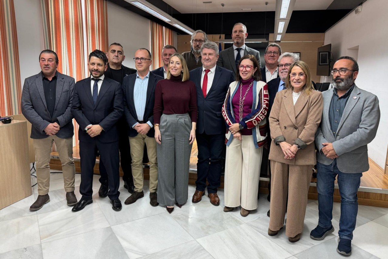 El presidente de la Diputación