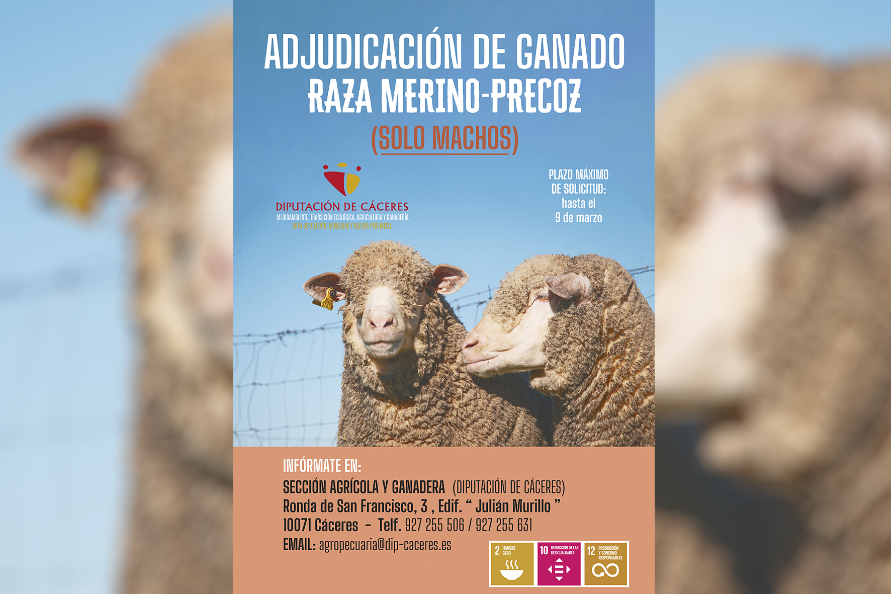 Se trata de machos de