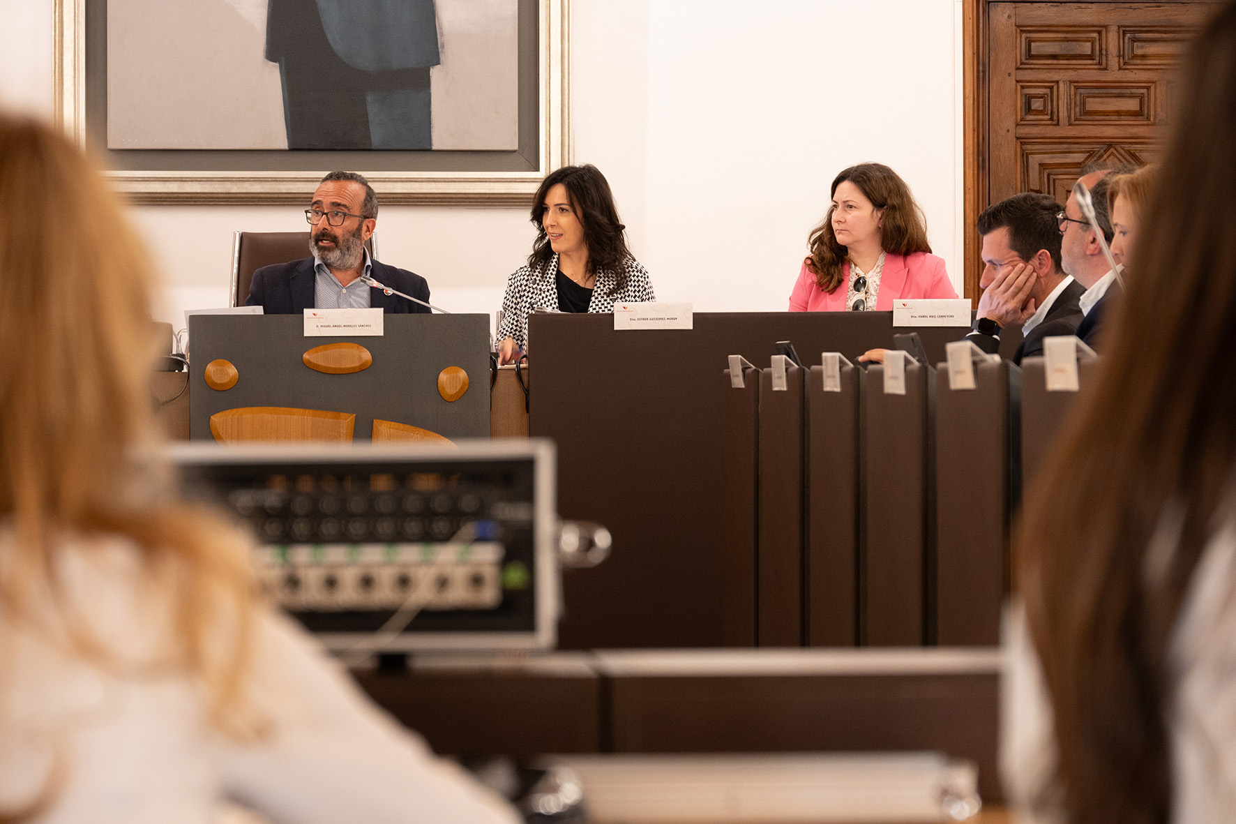 El pleno de la Diputación