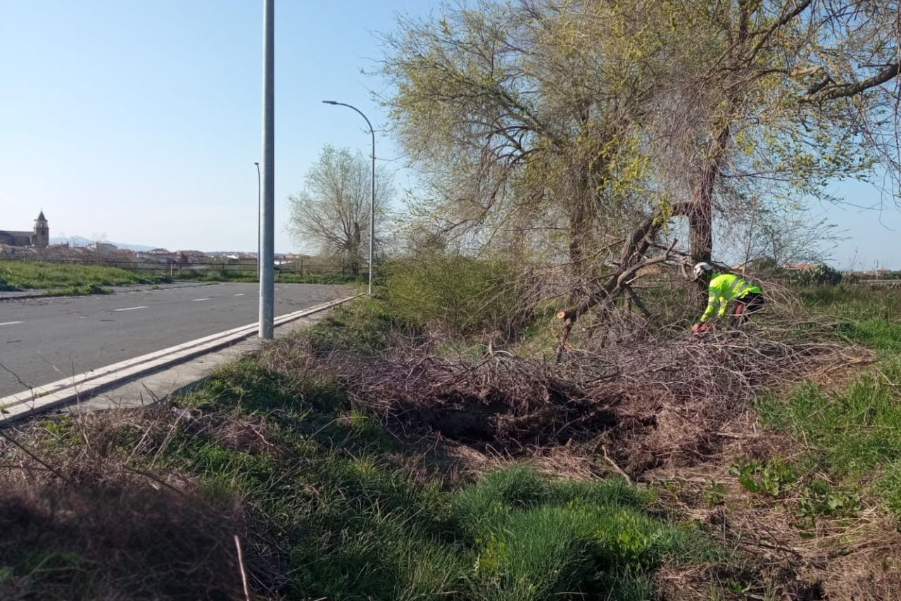 Los trabajos se están realizando