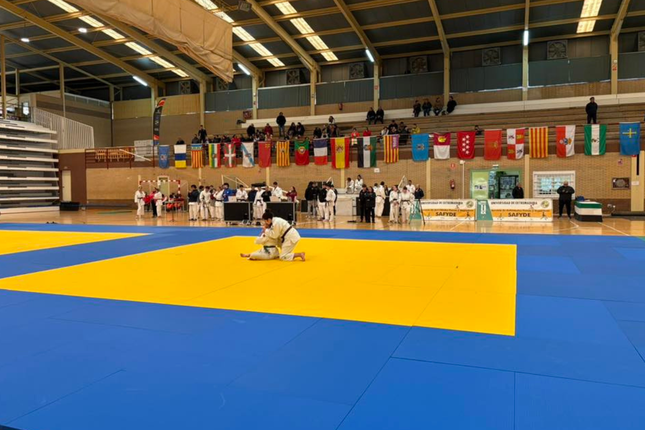 Las solicitudes podrán presentarse por